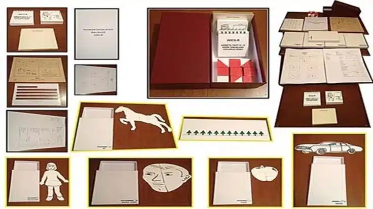 Wisc-R Zeka Testi Materyali