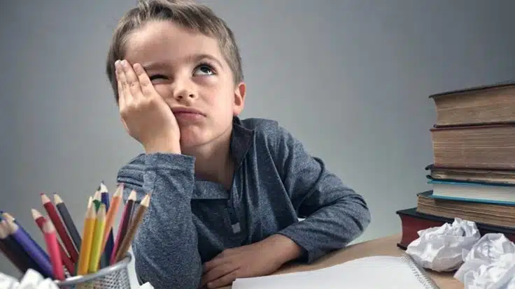 P4C Sertifika Programı